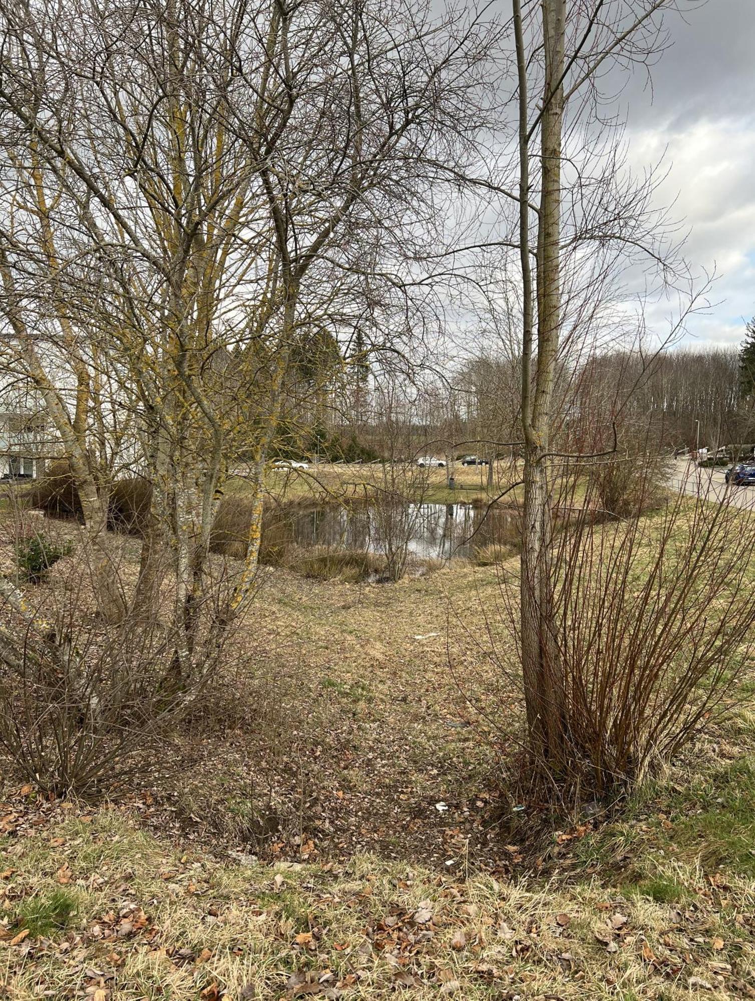My Home N 35 Villingen-Schwenningen Eksteriør bilde
